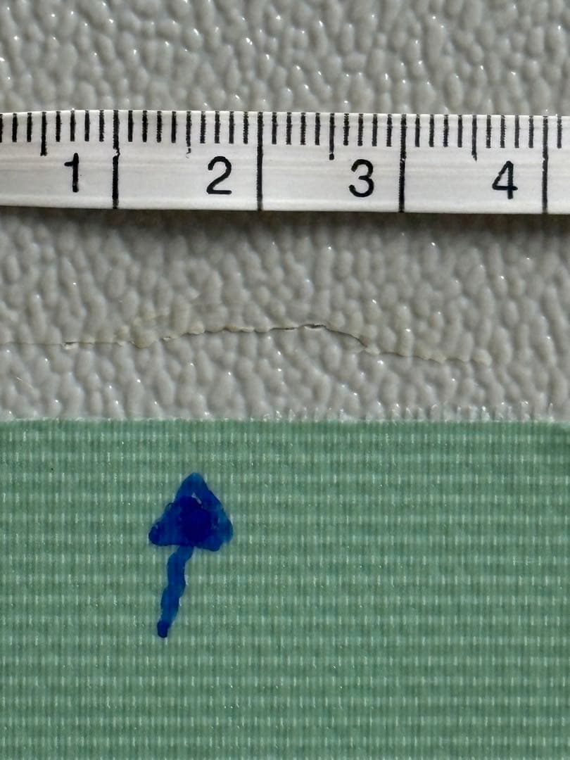 Villa Fort Circle 犬用サークル