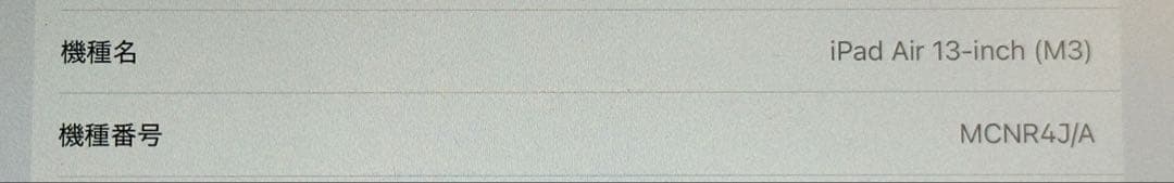 Apple iPadAir 13インチ　258GB＋Apple Pencil3