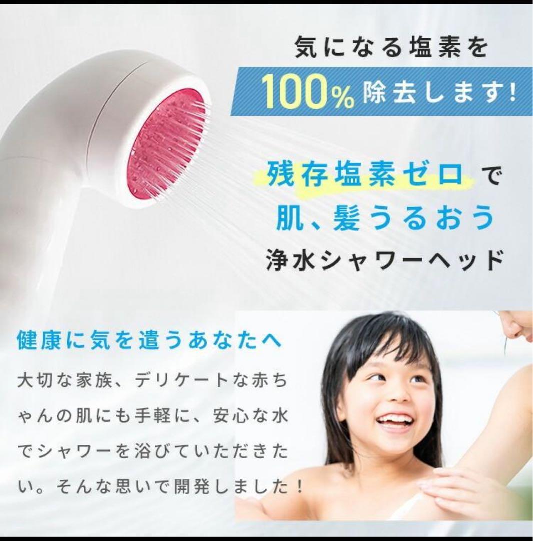 塩素除去シャワーヘッド ウルオシャワー イーテックUS-180 正規品 本体のみ