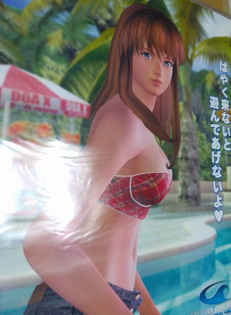 DEAD OR ALIVE ポスター B2サイズ 3枚セット