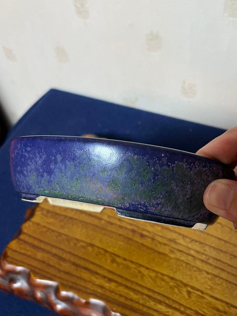 403 盆栽　盆栽鉢　植木鉢　和鉢　碧祥