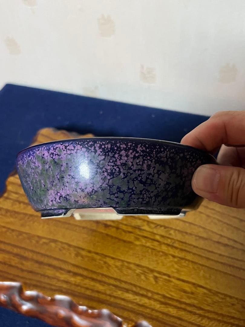 403 盆栽　盆栽鉢　植木鉢　和鉢　碧祥