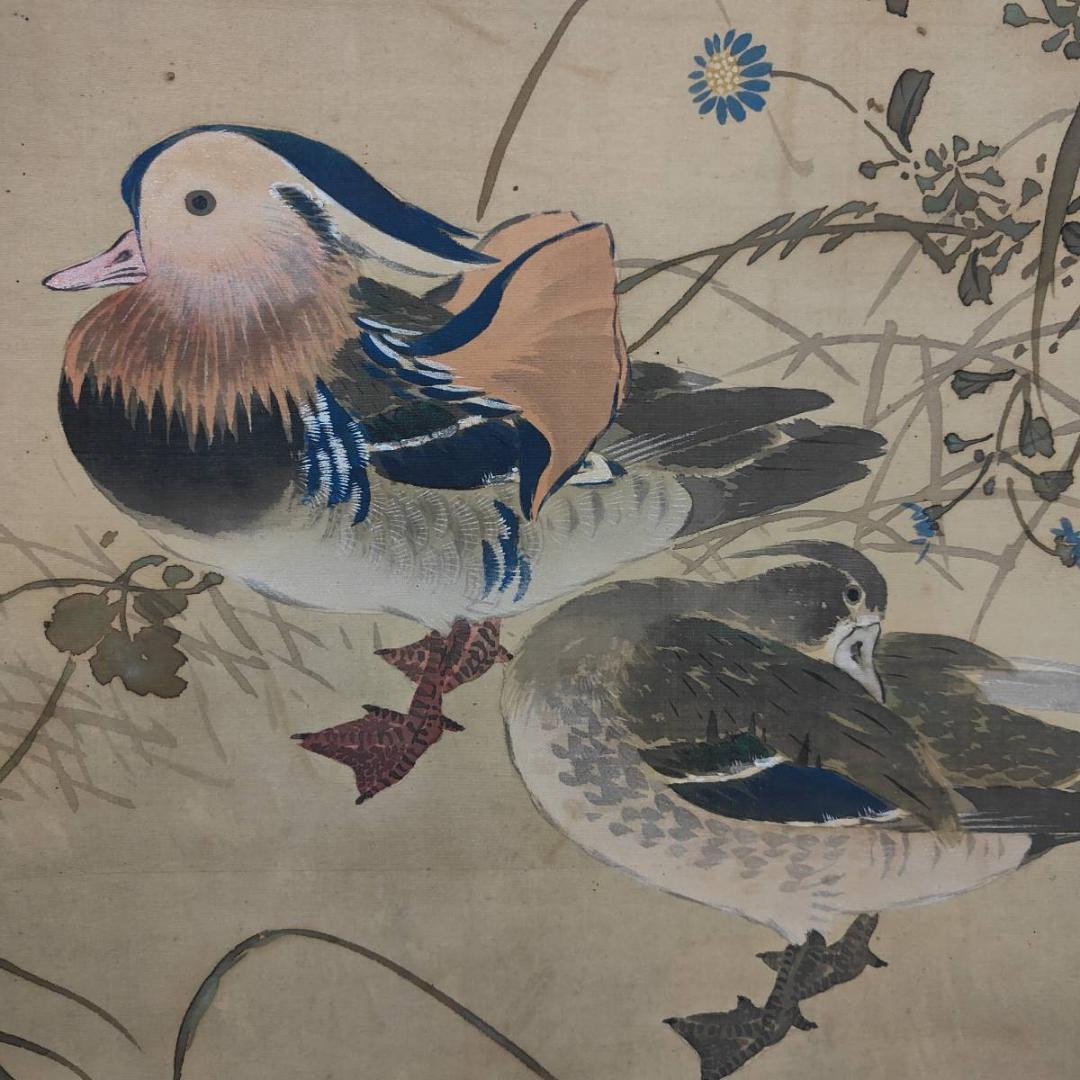 真作/芳翠/秋草鴛鴦図/オシドリ/花鳥/布袋屋掛軸A-519