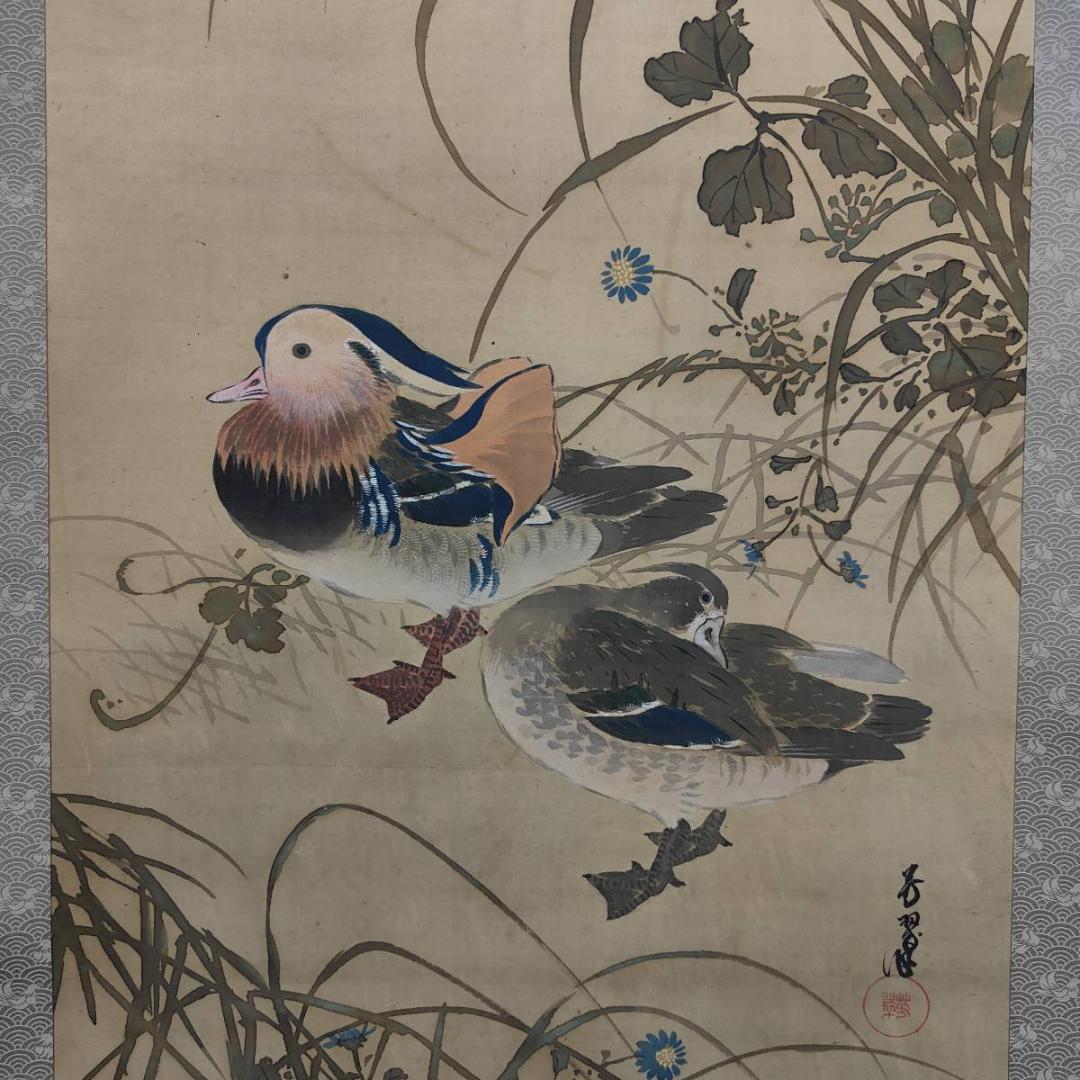 真作/芳翠/秋草鴛鴦図/オシドリ/花鳥/布袋屋掛軸A-519