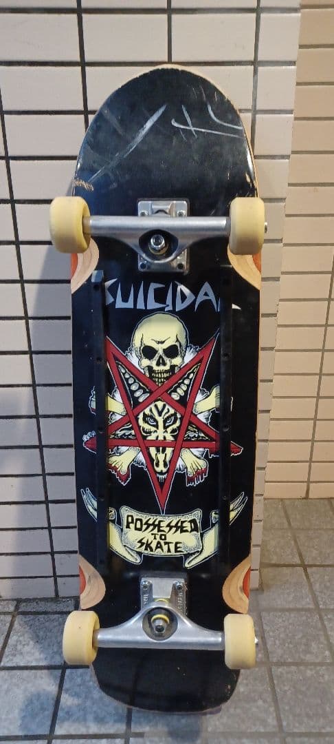 スーサイダルテンデンシーズ　スケートボード　コンプリート　dogtown