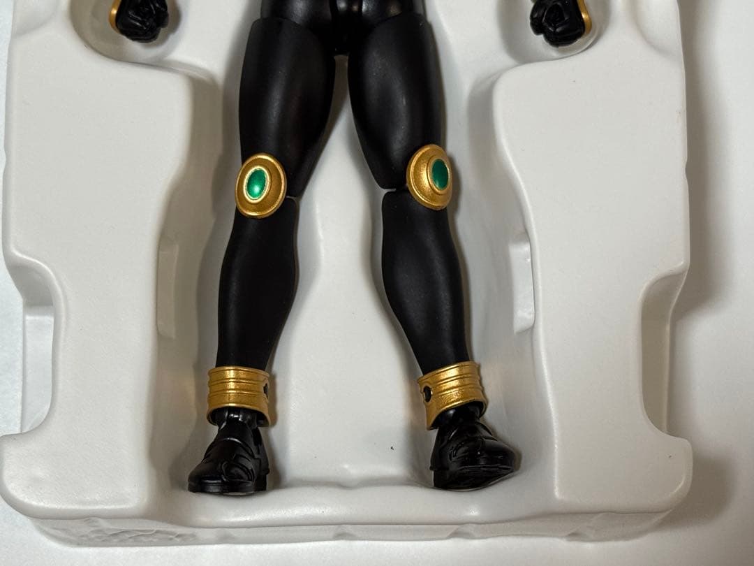 S.H.Figuarts（真骨彫製法） 仮面ライダークウガ ライジングペガサス