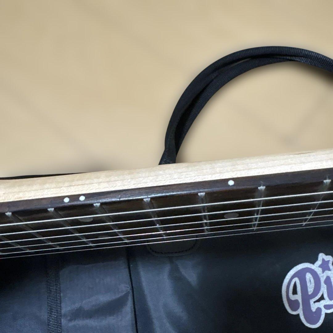 Pignose（ピグノーズ）PGG-200 アンプ内蔵ミニギター CAレッド