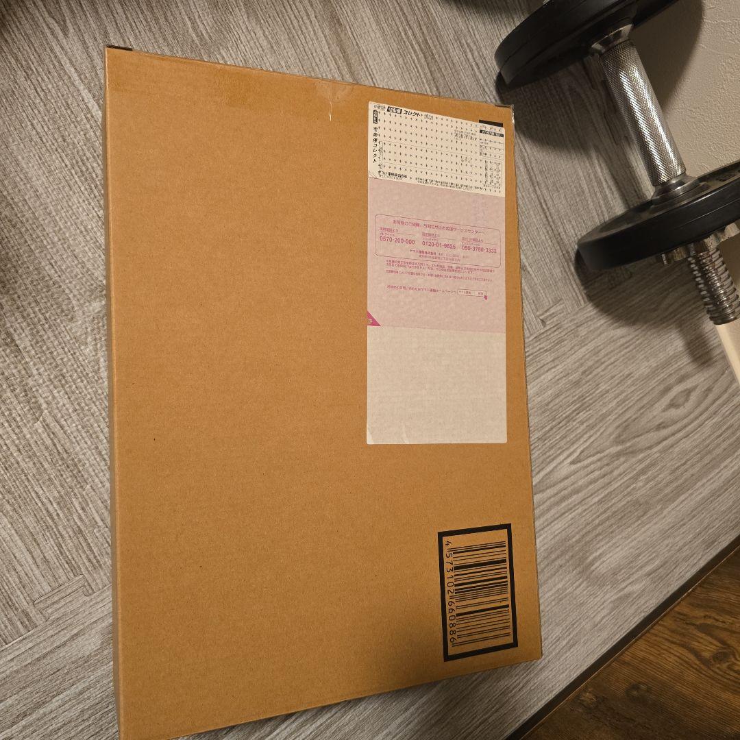 値下げ中 新品未開封 限定 L BUILD ストライクフリーダムガンダム