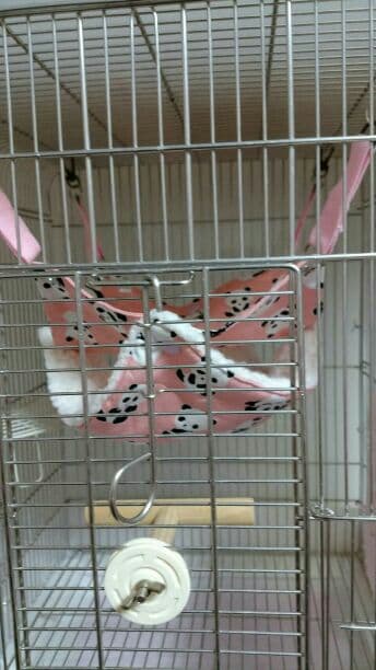 モモンガハウス(パンダVer.3ピンク)ボアベージュ  特大サイズ