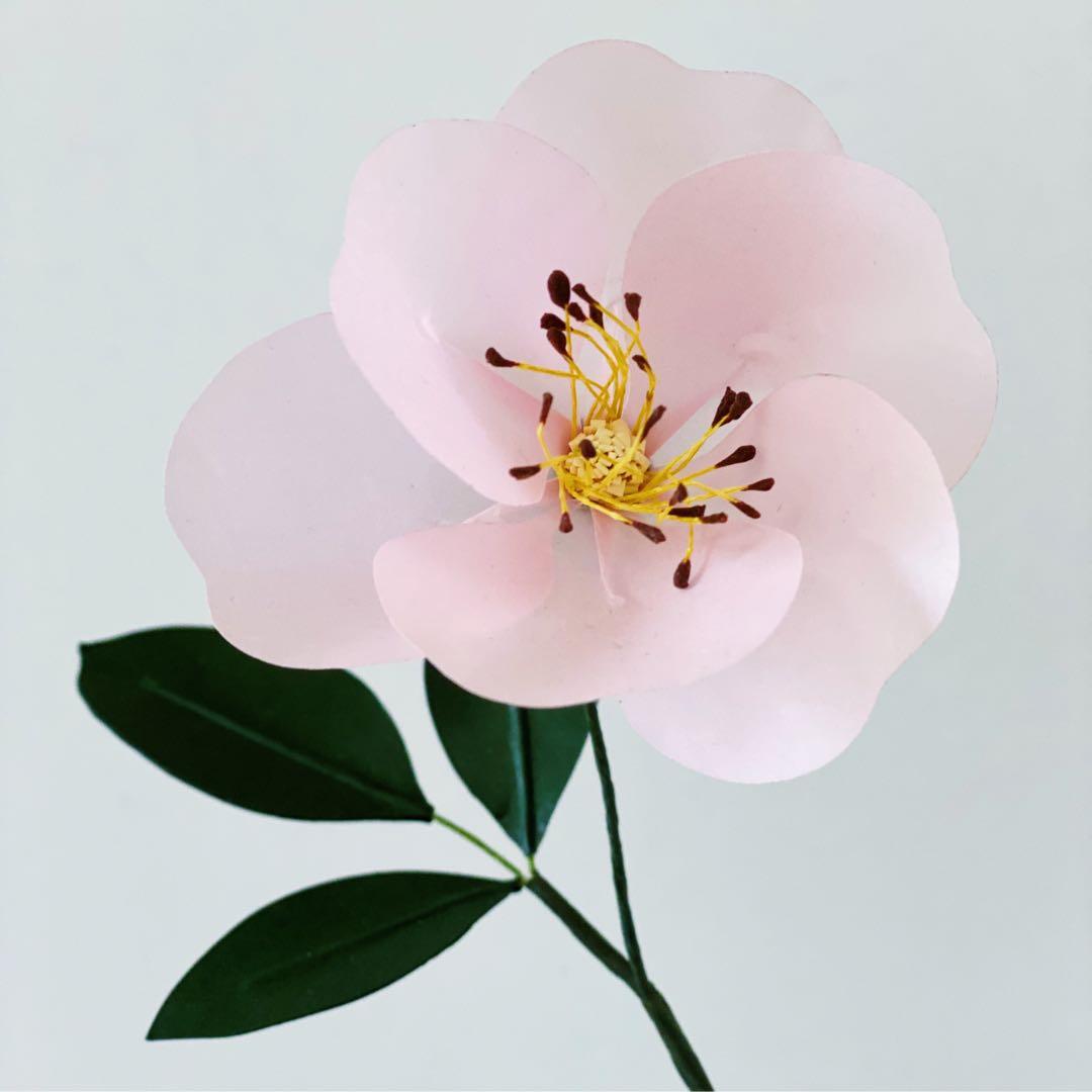 ★ eden works ペーパーエデン エデンワークス　edenworks