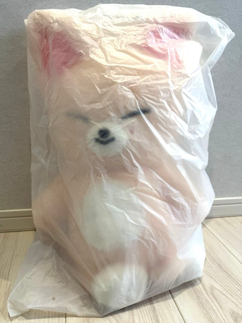 アイドル SKZOO PLUSH TEDDYBEAR - 5clock