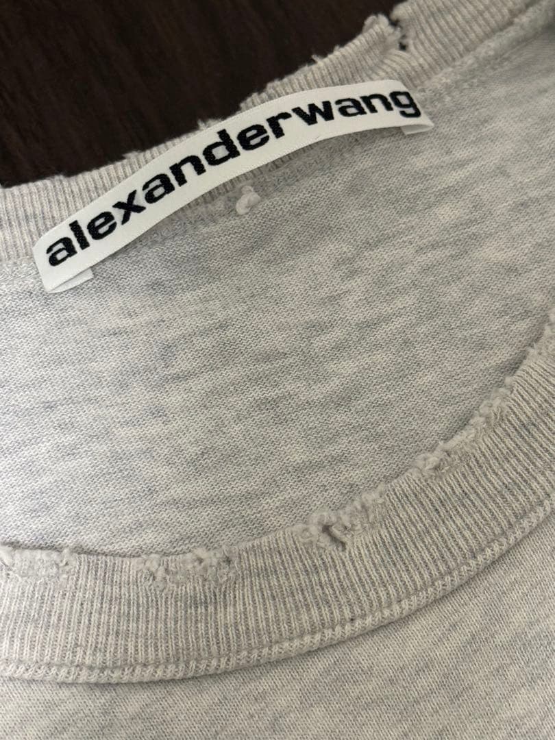 ALEXANDER WANG XS 登坂広臣着用