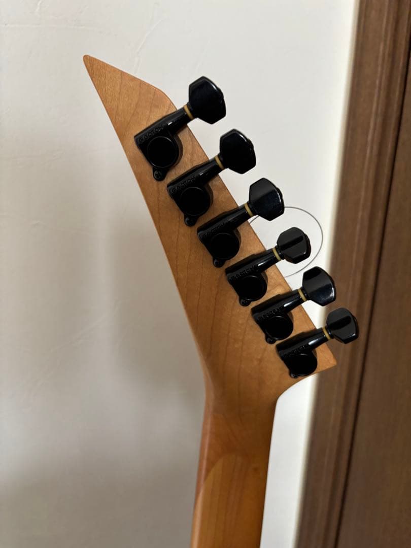 エレキギター　FERNANDES LIMITED EDITION