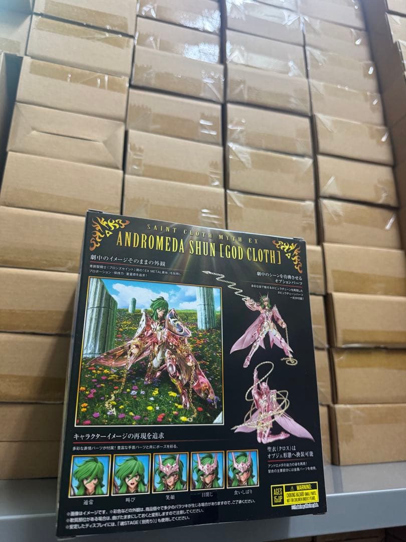 BANDAI 聖闘士聖衣神話 アンドロメダ瞬 神聖衣 冥王