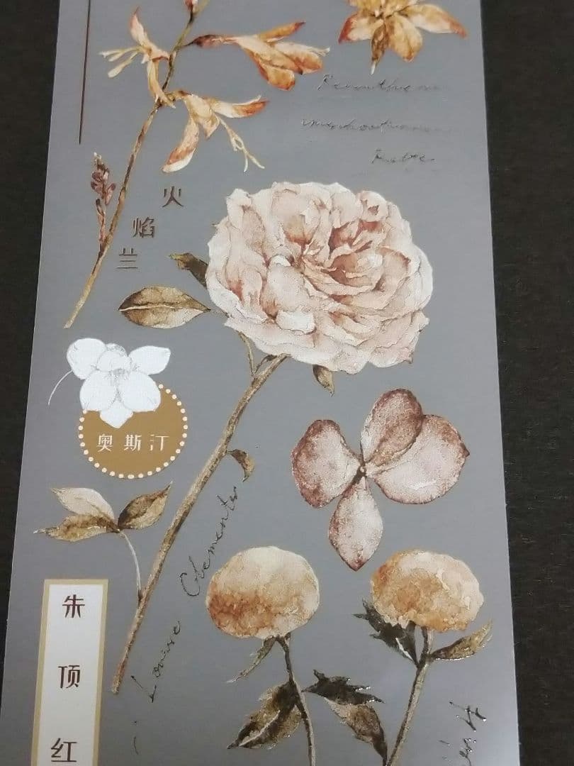 S23＃素白·茶棕(雾面PET)雀斑茶切り売り海外装飾マステ