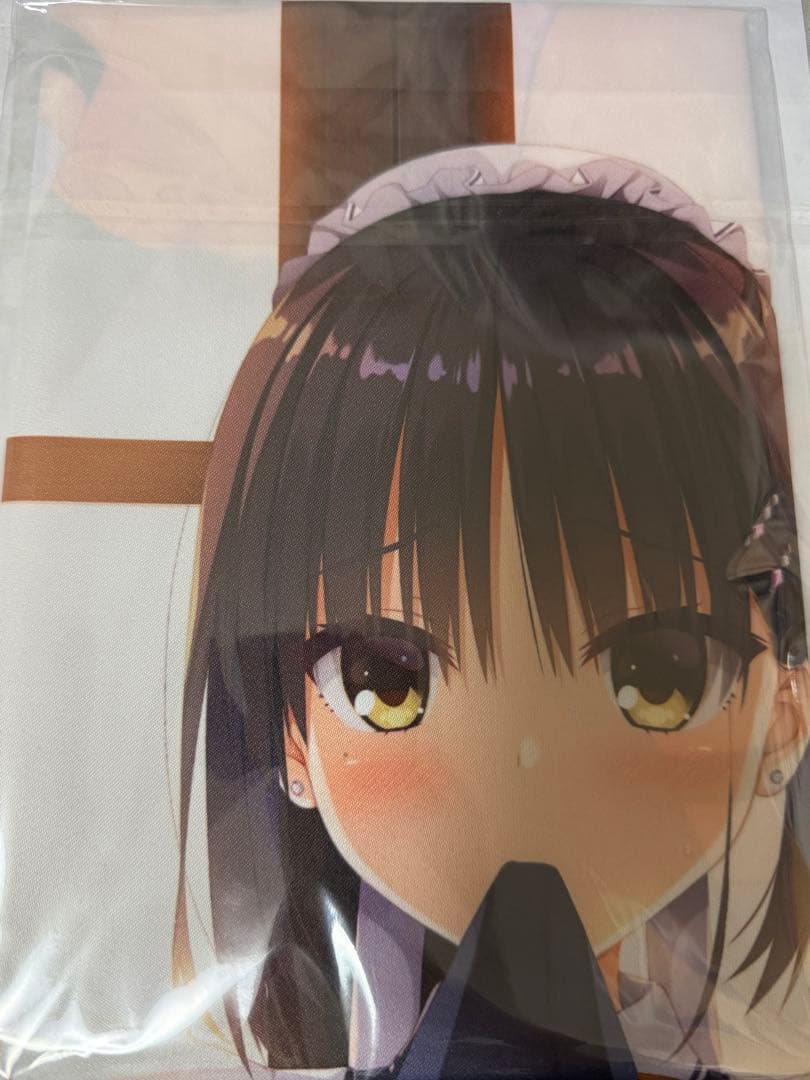 四季ナツメ フィギュア ソフマップ特典 B2布ポスター