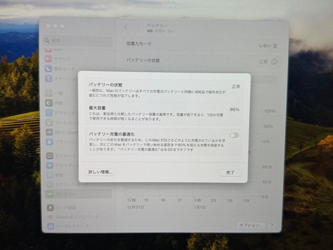 MacBook Air M1 2020モデル 16GB 1TB