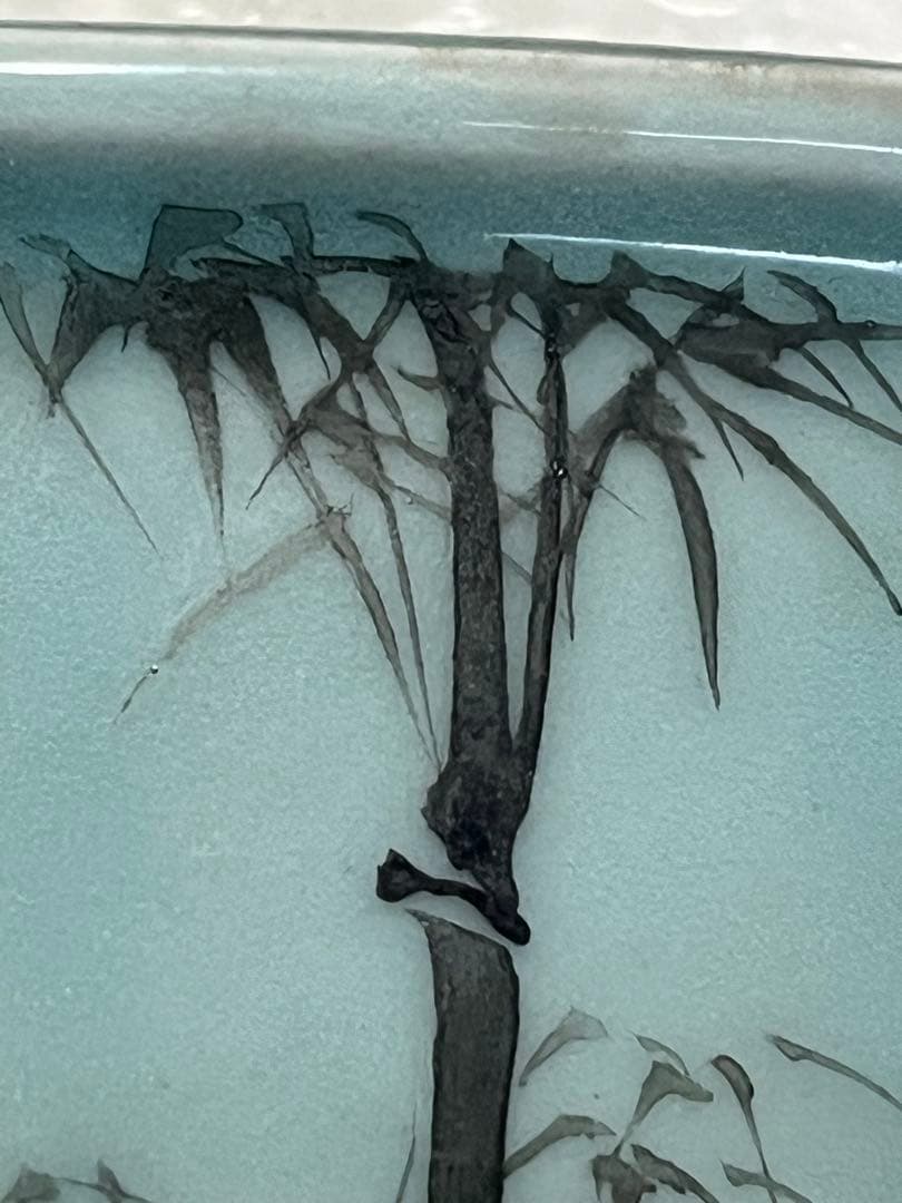 盆栽鉢　植木鉢　陶芸　園芸　盆栽