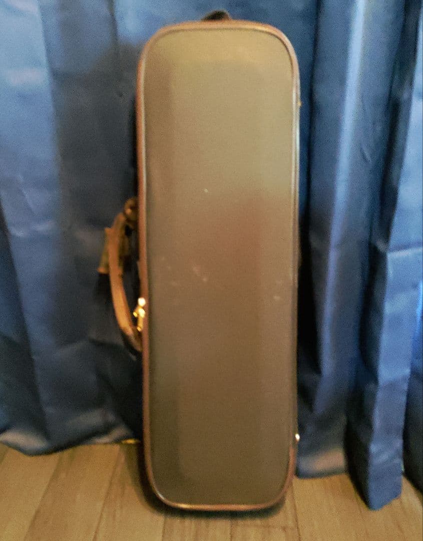 ドイツ高級バイオリン カールヘフナー Karl Hofner KH208 4/4