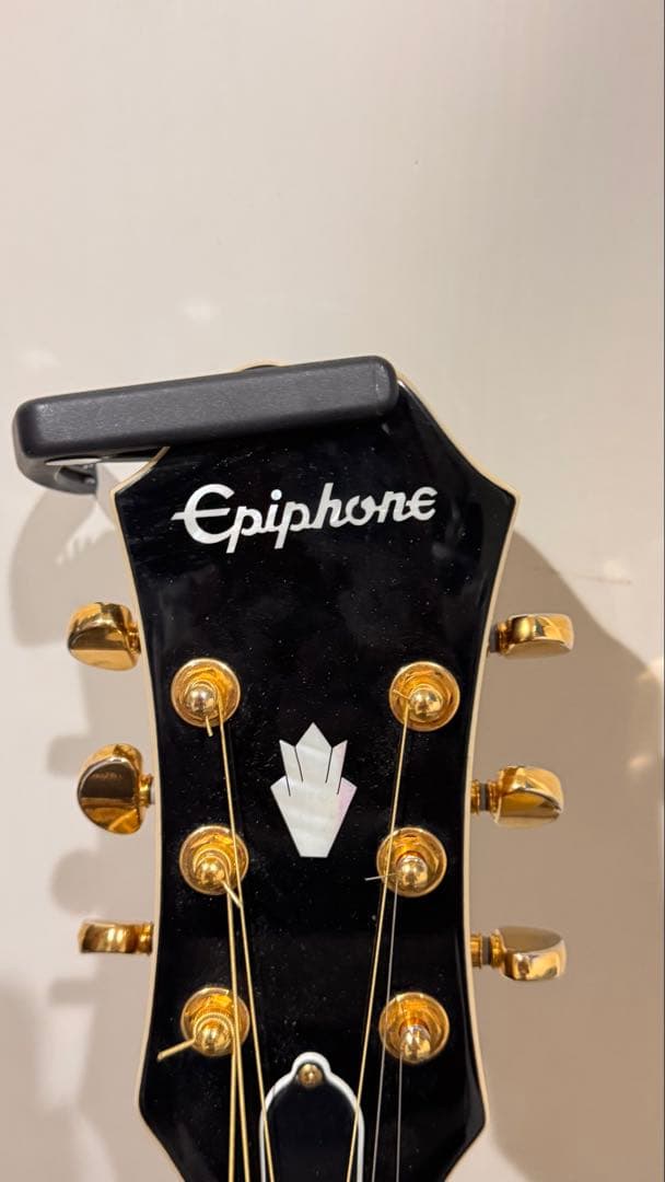 爬虫類・両生類用底材セット