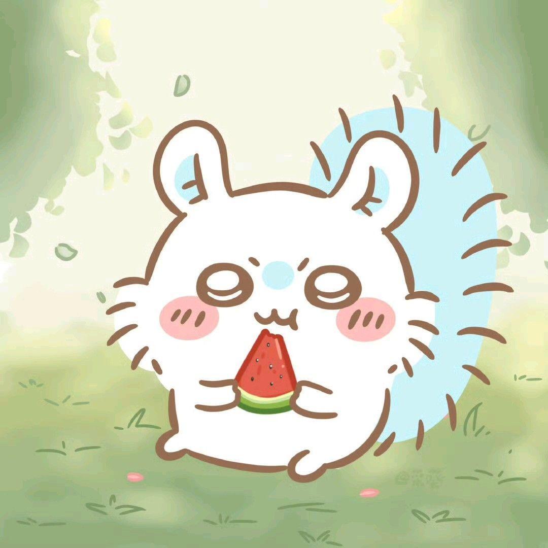 ばく　合格レポート