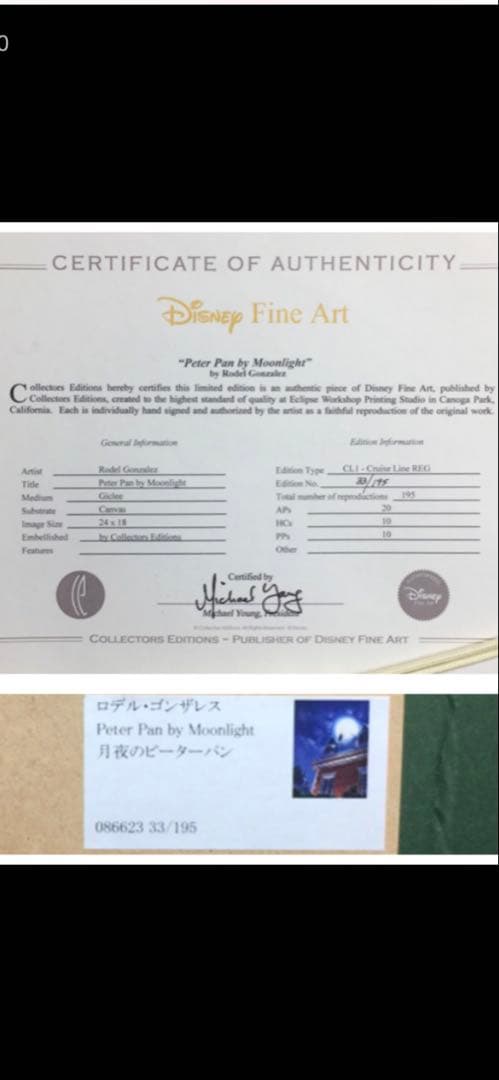 【限定セール中】ディズニー　ファインアート 月夜のピーターパン