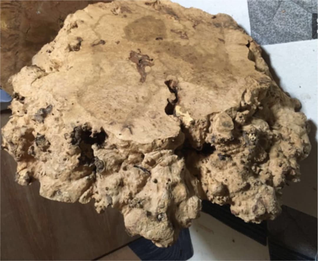 天然木 コブテーブル 看板 工芸