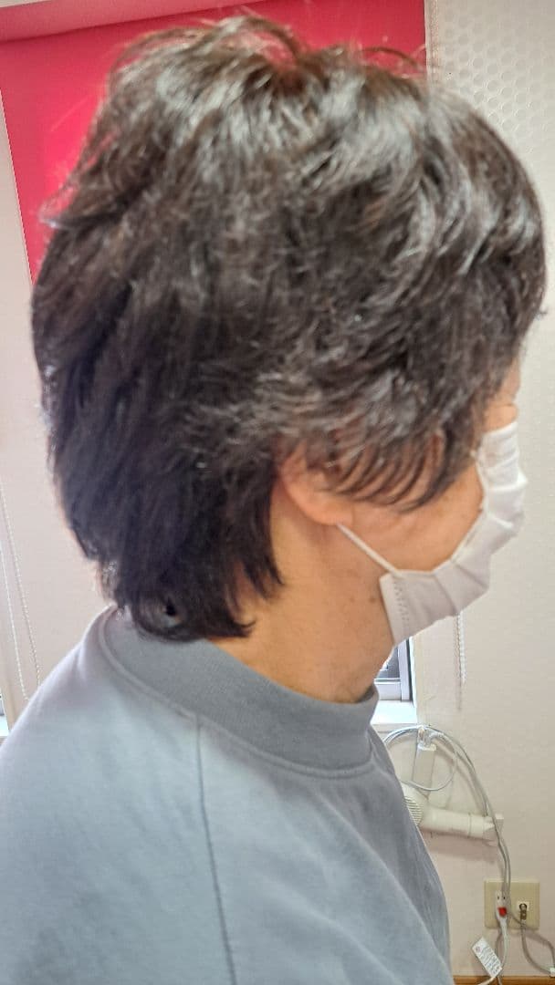 ショートウィッグ フォンテーヌダークブラウン 自然色