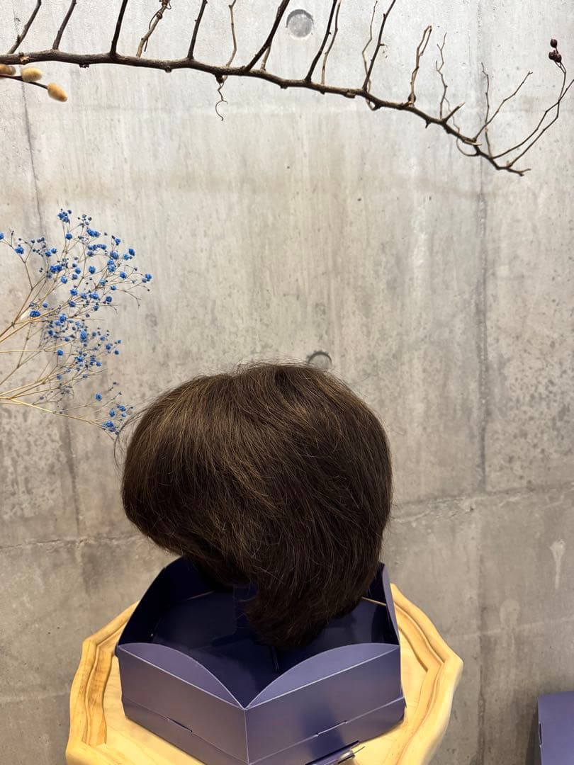 (41) FONTAINE MS 08 F4 フルウィッグ フォンテーヌ