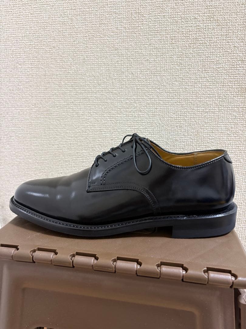 使用数回程度 REGAL プレーントゥ ブラック 26EE