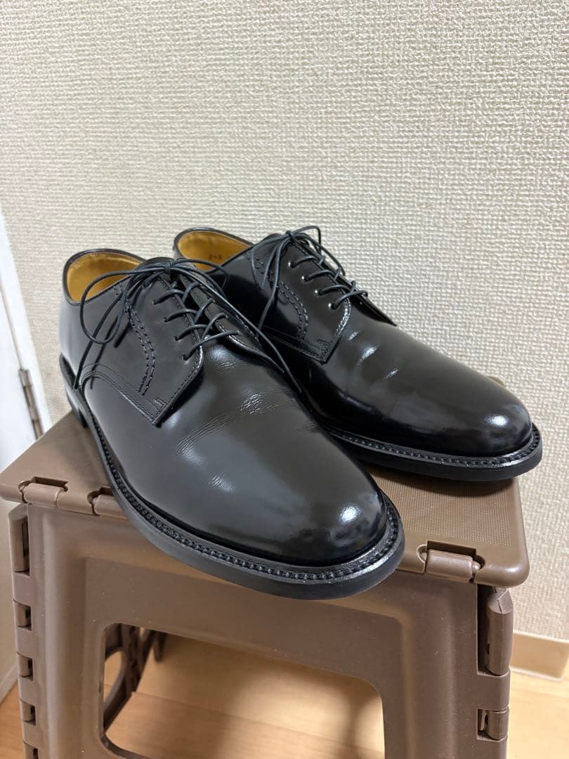 使用数回程度 REGAL プレーントゥ ブラック 26EE