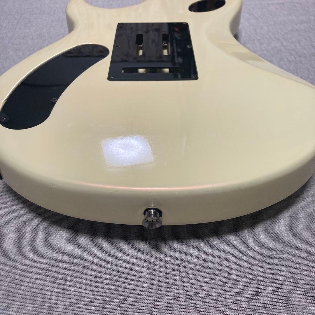 ギター YAMAHA YSG-TII