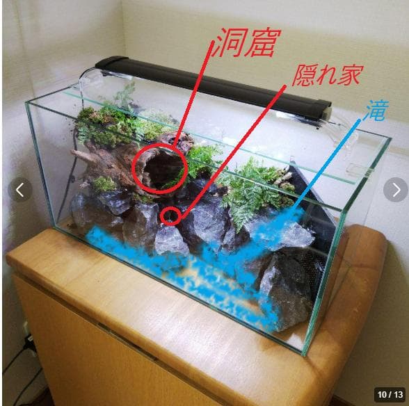 【完成品】滝のあるアクアテラリウム　イモリウム　苔テラリウム　アクアテラリウム