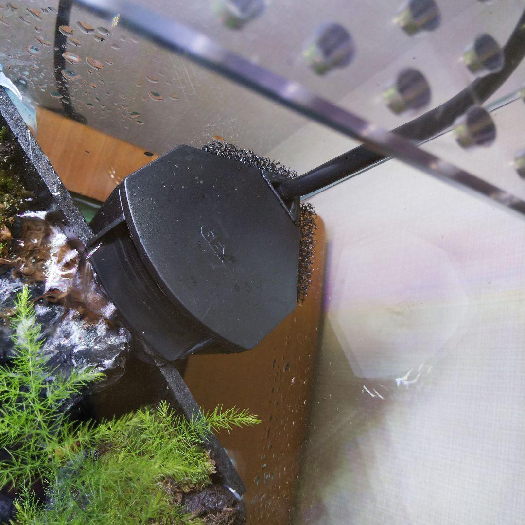 【完成品】滝のあるアクアテラリウム　イモリウム　苔テラリウム　アクアテラリウム