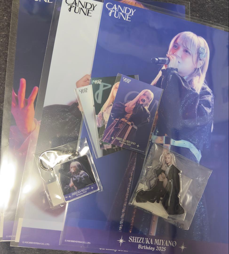 CANDY TUNE 宮野静 サイン入りアクリルフォトパネル