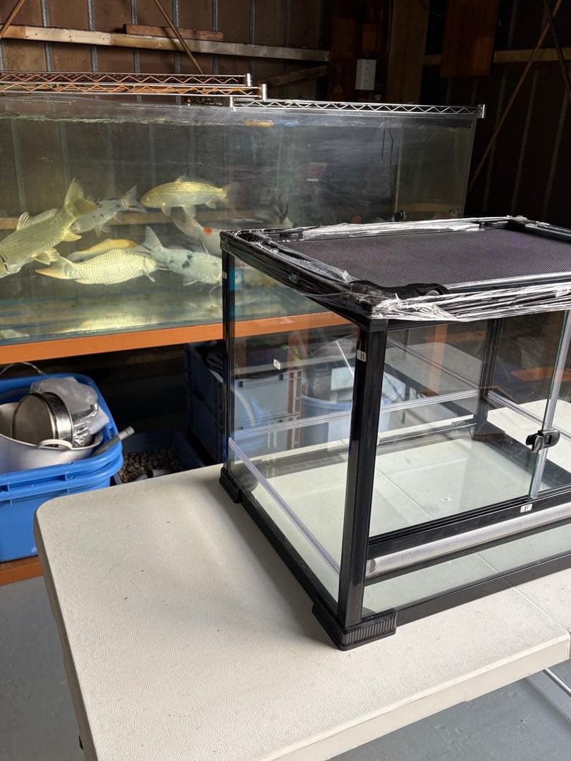 問屋ケージ爬虫類60x45x45cm両生類飼育組み立て式ガラス飼育ケージ送料込み