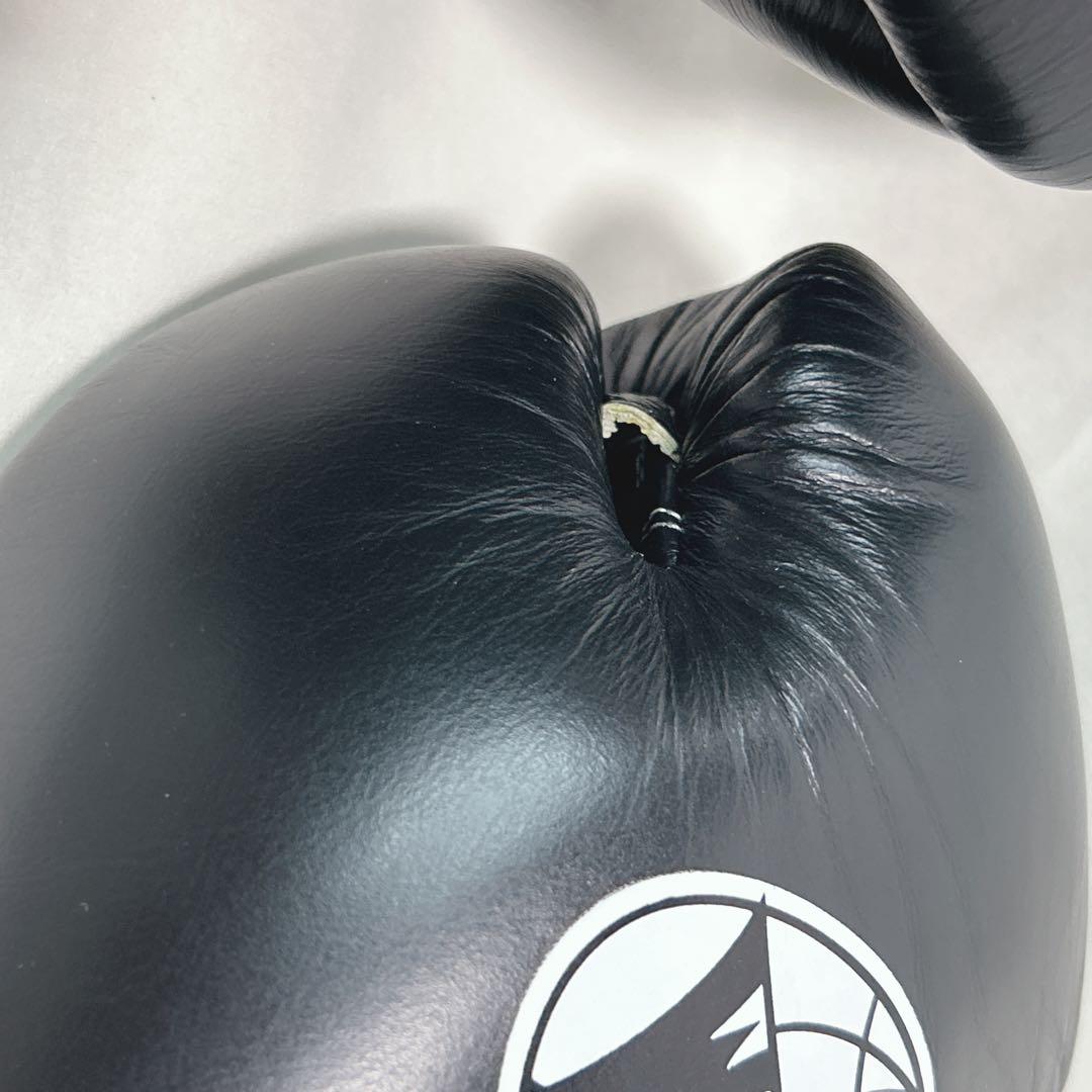 ✨未使用級✨ WINDY ボクシンググローブ 10オンス