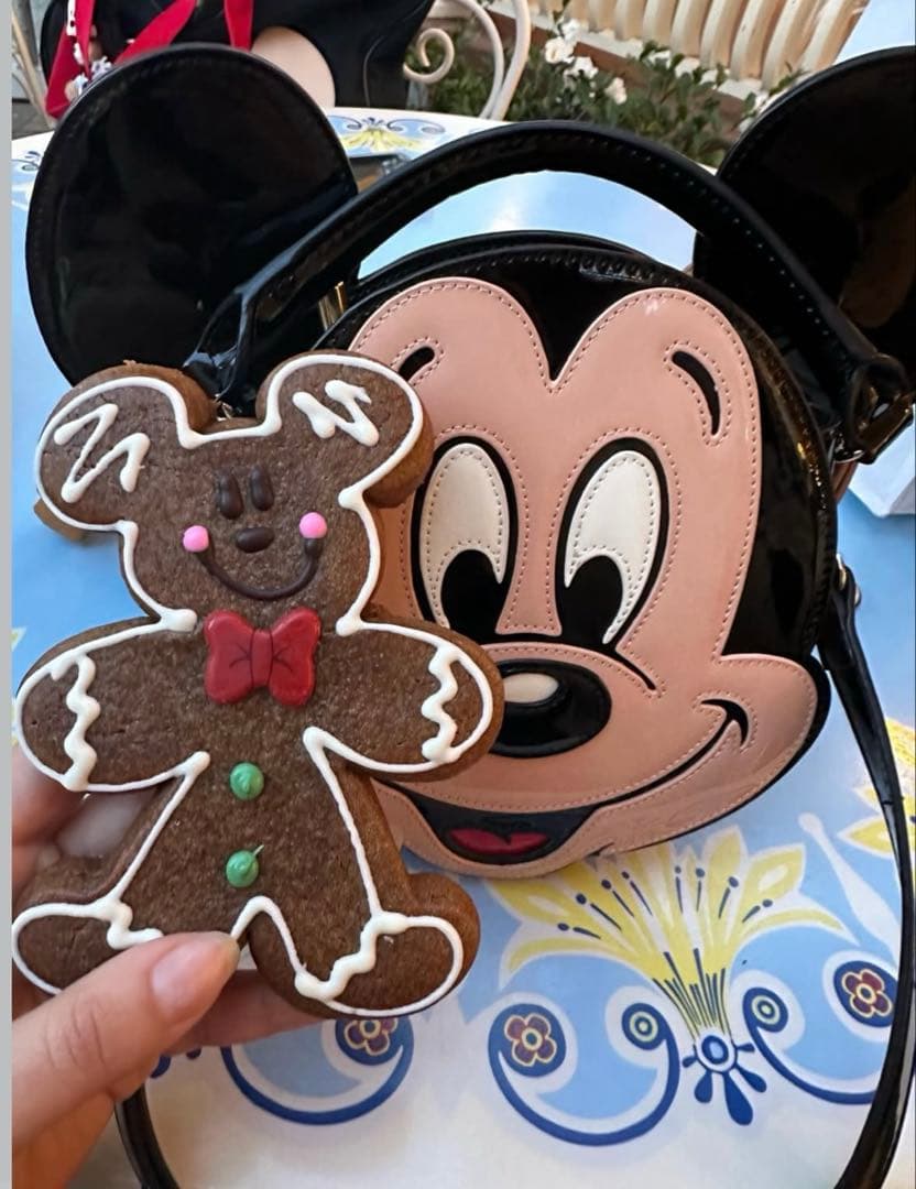 MOUSSY Disney ミッキーマウス ショルダーバッグ