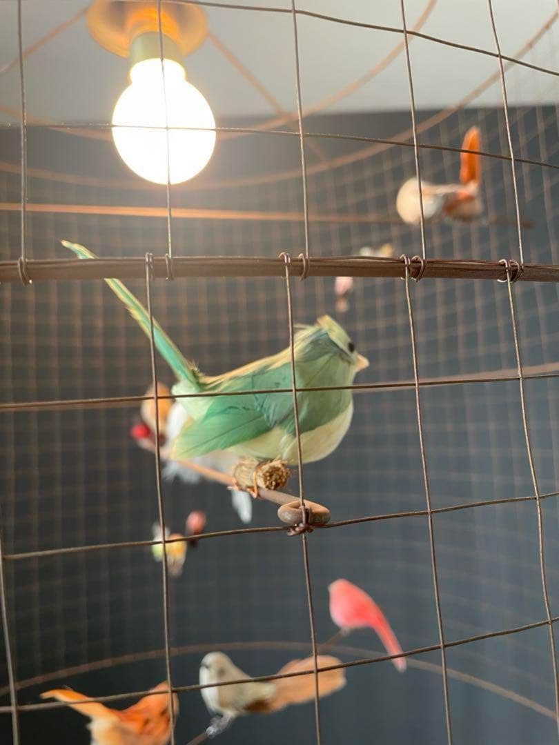 専用　コンランショップ　LA VOLIERE SHADE GRANDE ライト