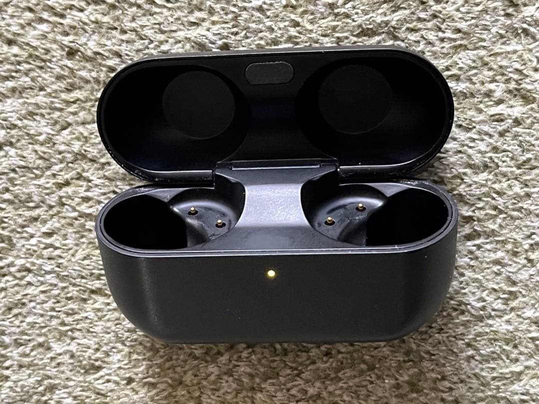 Technics EAH-AZ100 イヤホンケース　ブラック