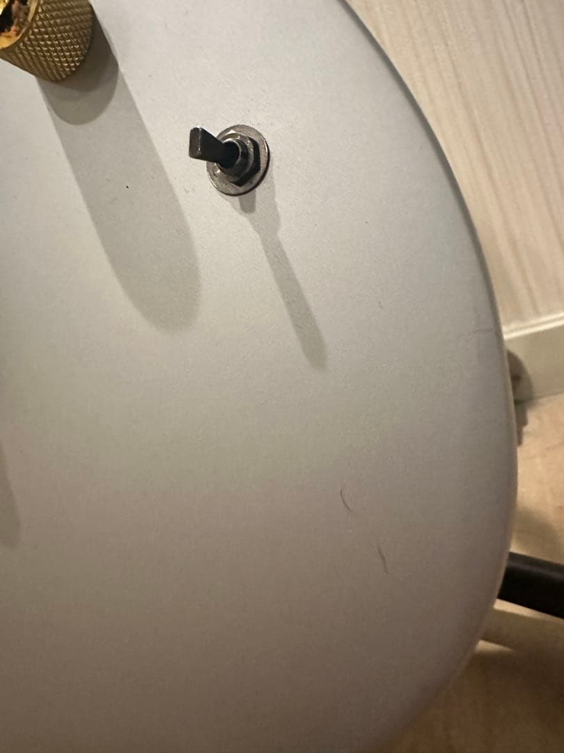 s*r様 Ibanez RGDMS8-CSM 8弦ギター