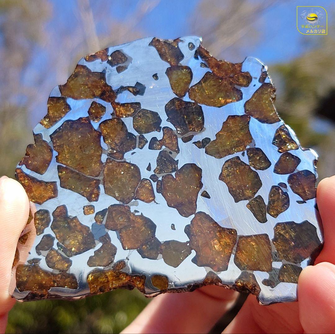 ★51.38g イミラック パラサイト 隕石 Imilac⭐⭐⭐