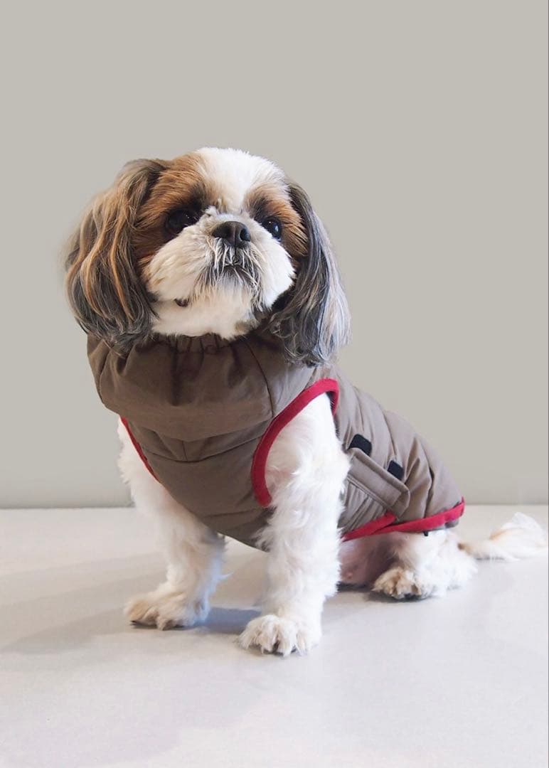  peak ドッグダウンジャケット