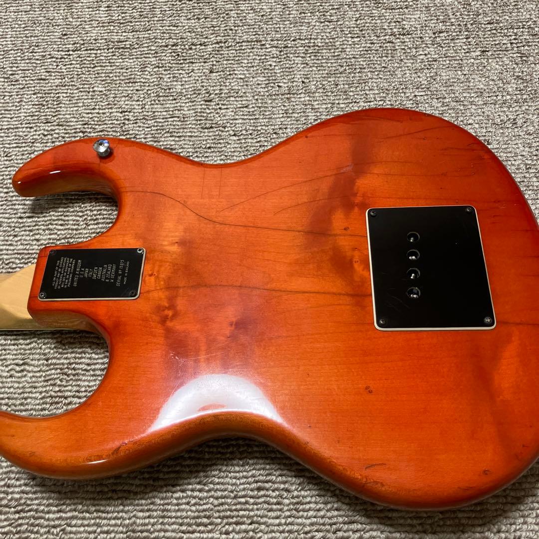 BALDWIN 1960s BISON BASS ビンテージ