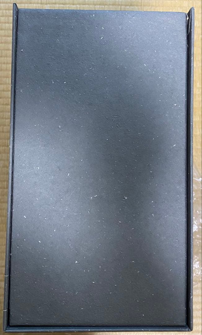 ENTERBAY チャイニーズ・ゴースト・ストーリー/レスリー・チャン