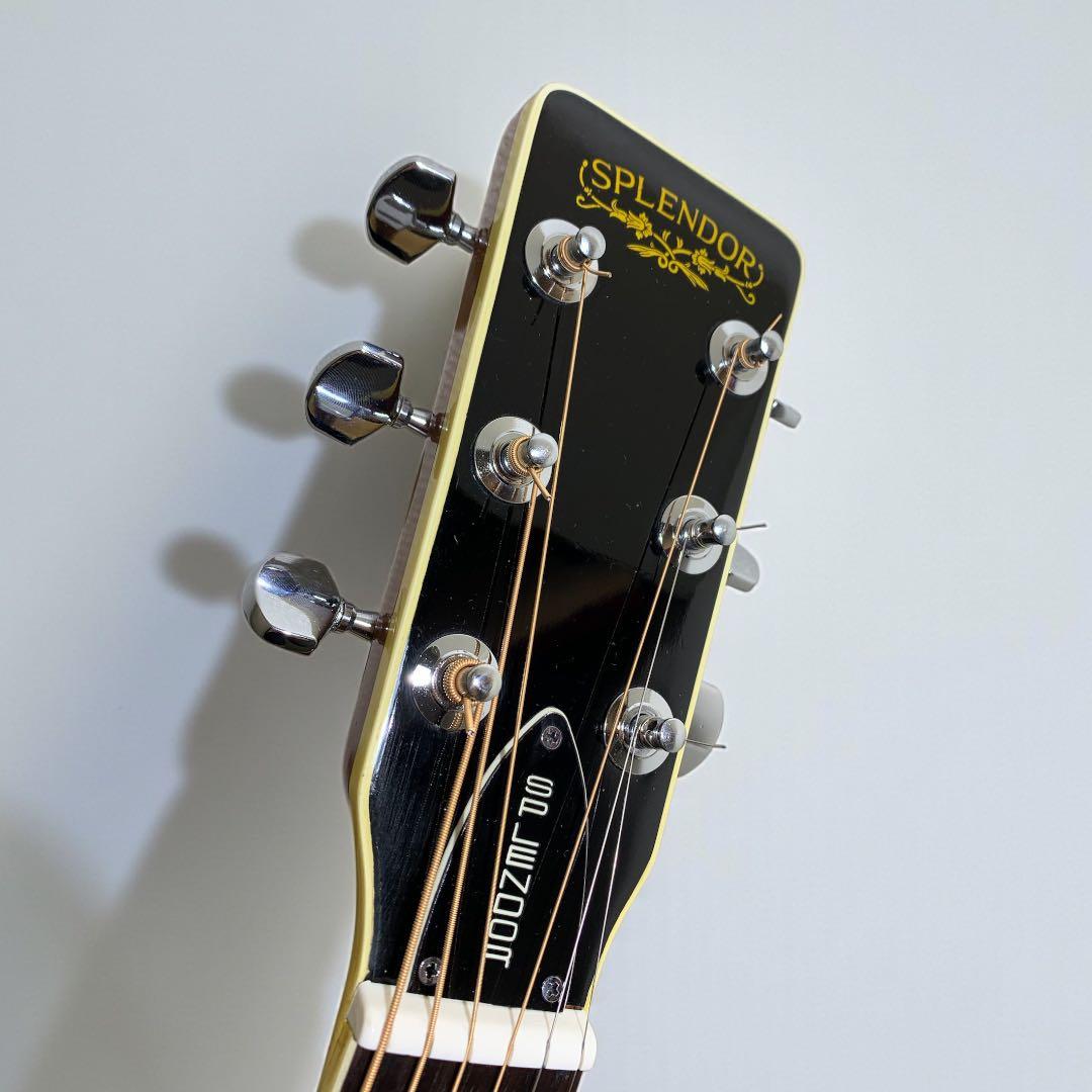 SPLENDOR スプレンダー 国産ドレッド 美品 杢メイプル