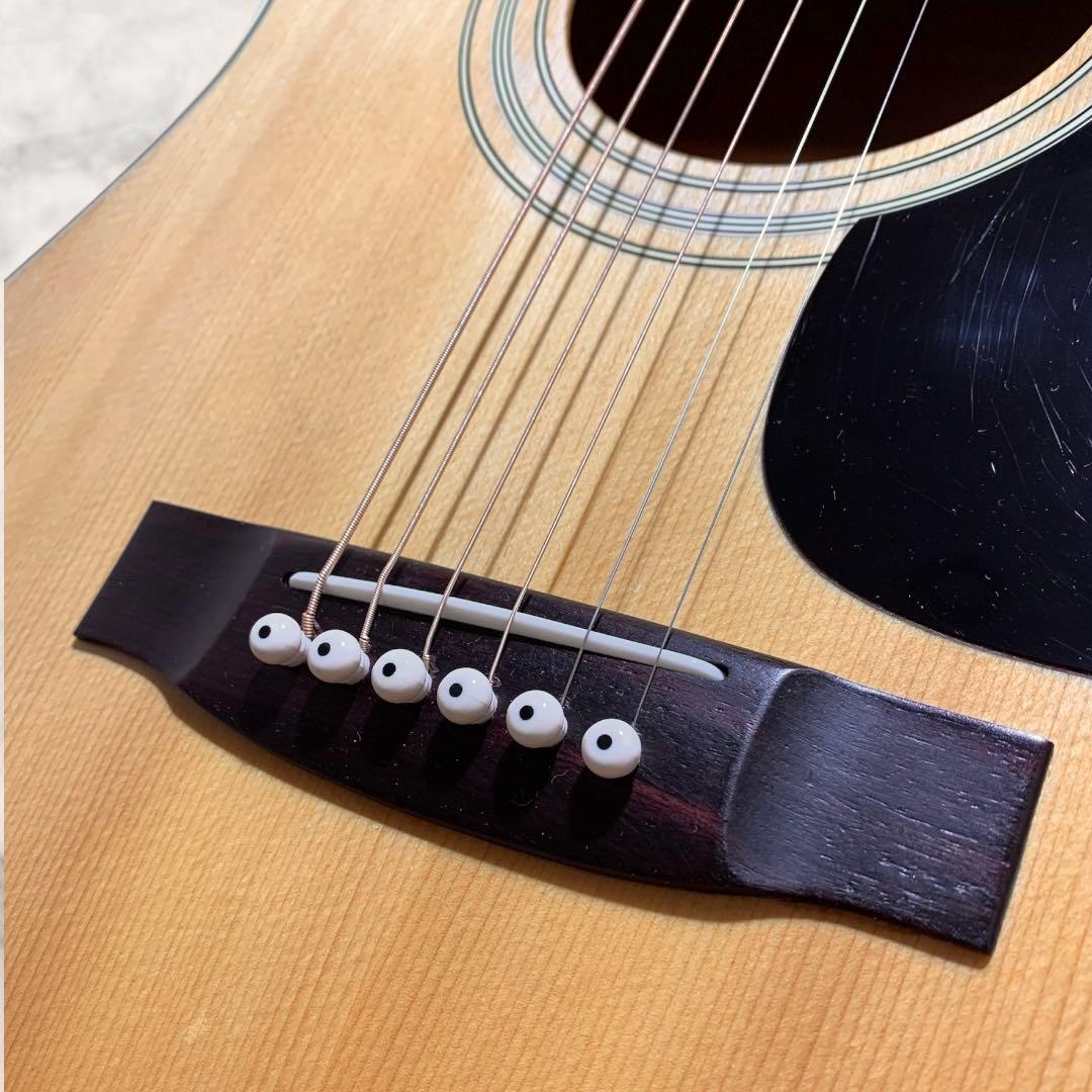 SPLENDOR スプレンダー 国産ドレッド 美品 杢メイプル