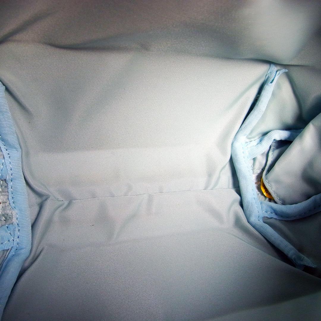 ISSEY MIYAKE CARAPACE PLEATS PLEASE バッグ