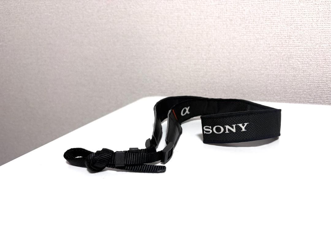 SONY α6000 ダブルズームレンズキット ミラーレス一眼 APS-C