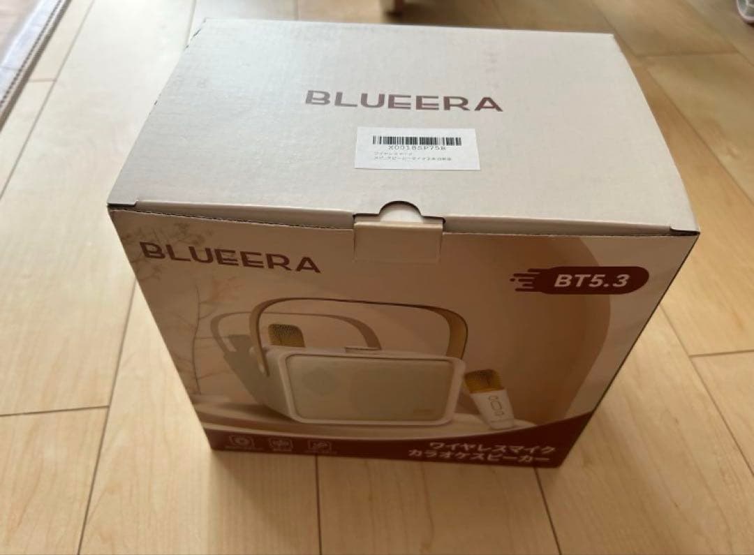 Blueera カラオケセット家庭用 BT マイク 2本 ワイヤレスカラオケ